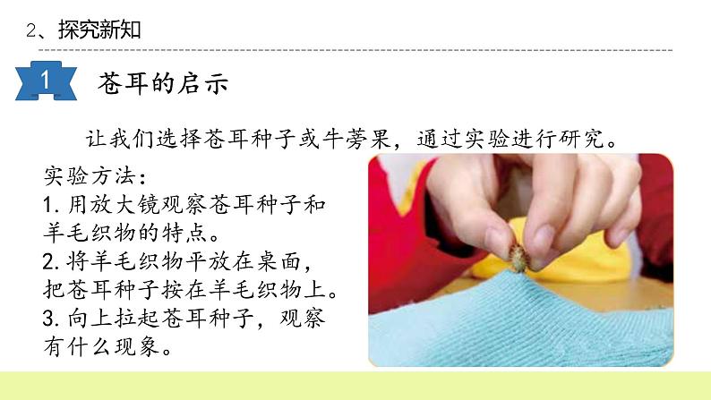 六年级下册冀人版科学第8课 《生物的启示》课件第5页