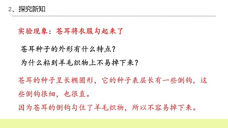 六年级下册冀人版科学第8课 《生物的启示》课件第6页