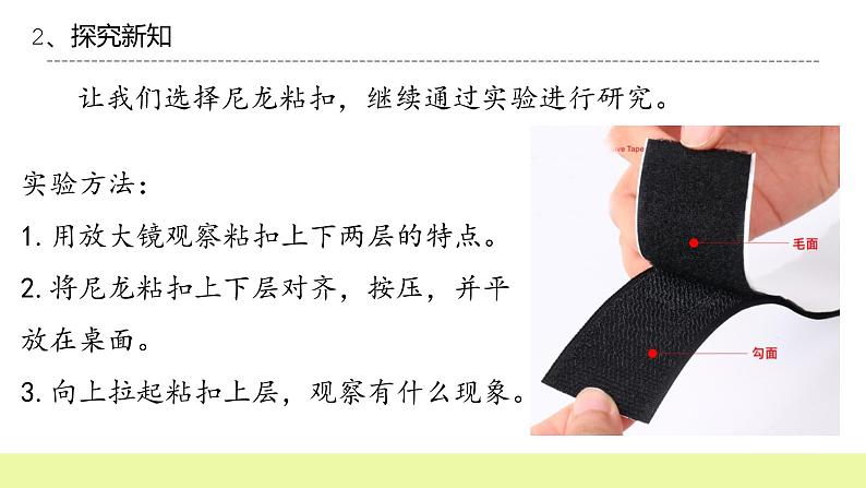 六年级下册冀人版科学第8课 《生物的启示》课件第7页