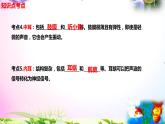 教科版科學(xué)四年級上冊1.4我們是怎樣聽到聲音的-知識點復(fù)習(xí)課件+實驗+典型試題(動畫已調(diào)點擊出現(xiàn))