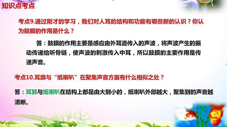 教科版科学四年级上册1.4我们是怎样听到声音的-知识点复习课件+实验+典型试题(动画已调点击出现)07