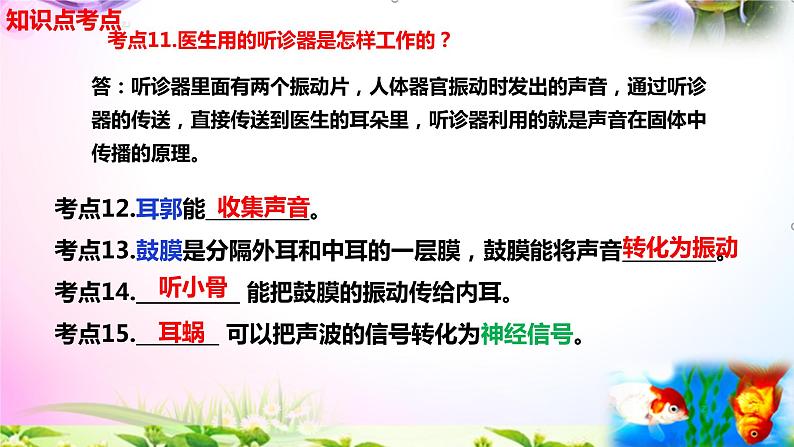 教科版科学四年级上册1.4我们是怎样听到声音的-知识点复习课件+实验+典型试题(动画已调点击出现)08