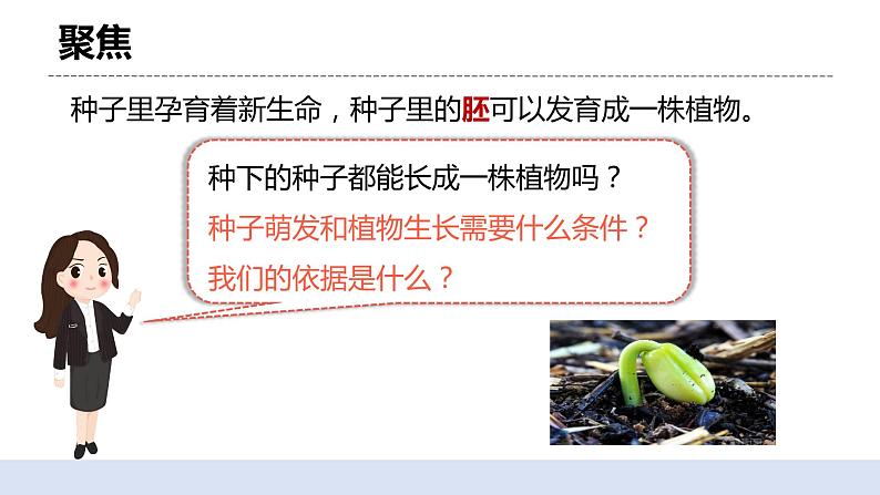 1.2 种植凤仙花 课件（送教案）03