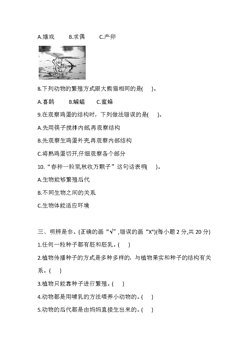 苏教版科学四年级下册 第4单元 繁殖 测评卷 (含答案)第3页