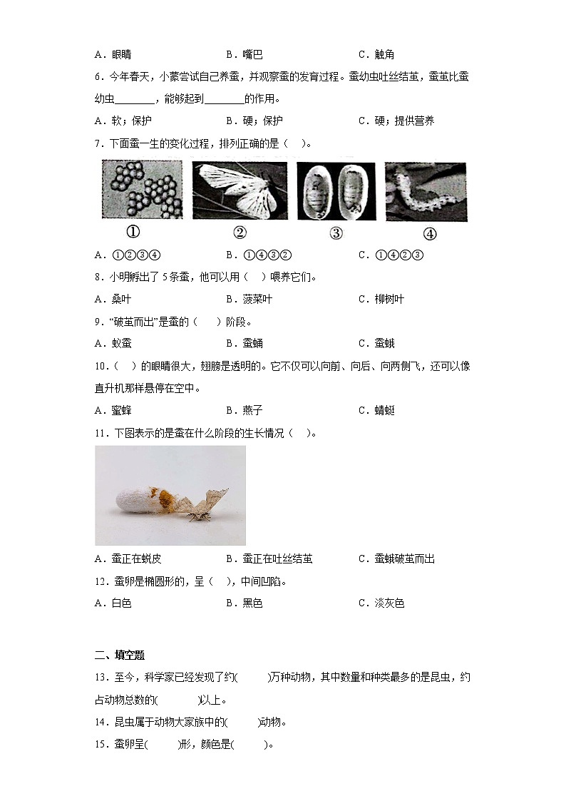 苏教版四年级科学下册第三单元综合测试卷昆虫（二）含答案第2页