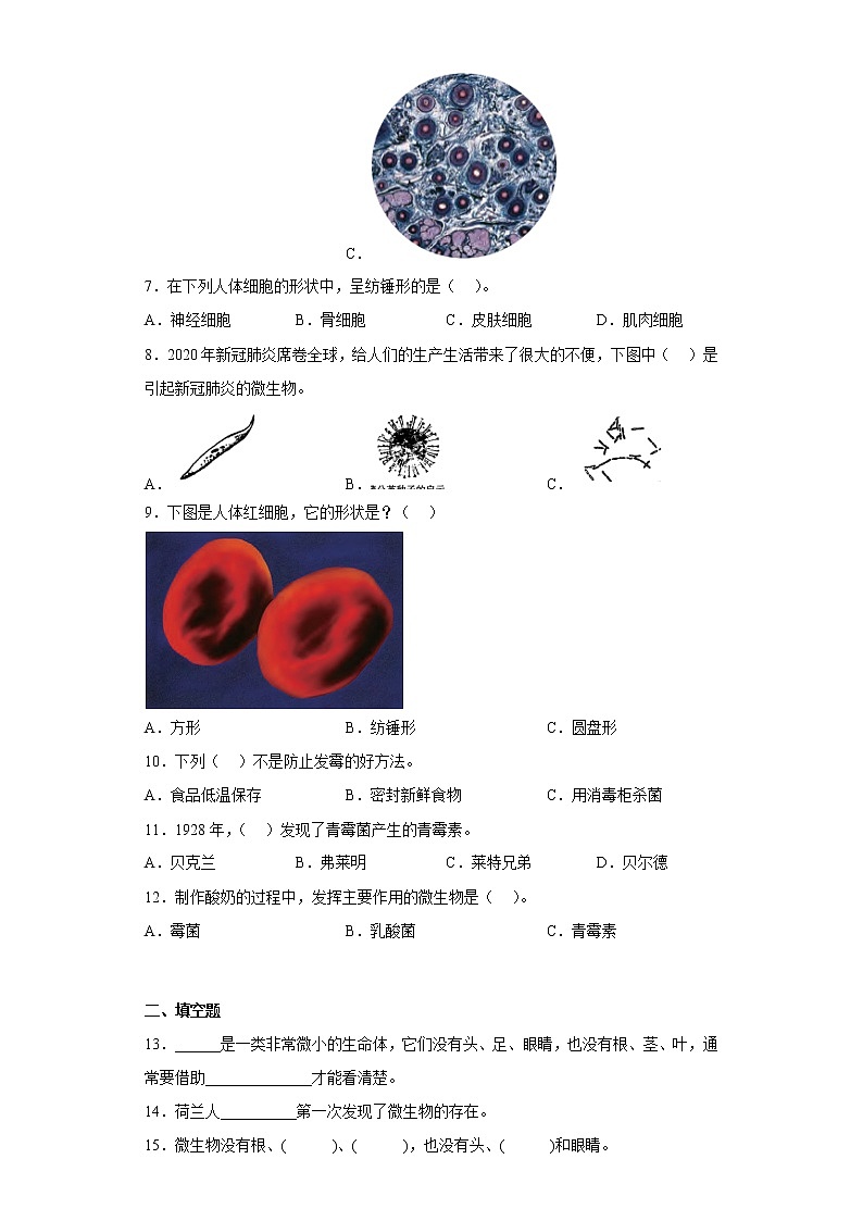 苏教版五年级科学下册第一单元综合测试卷显微镜下的生命世界（二）含答案第2页