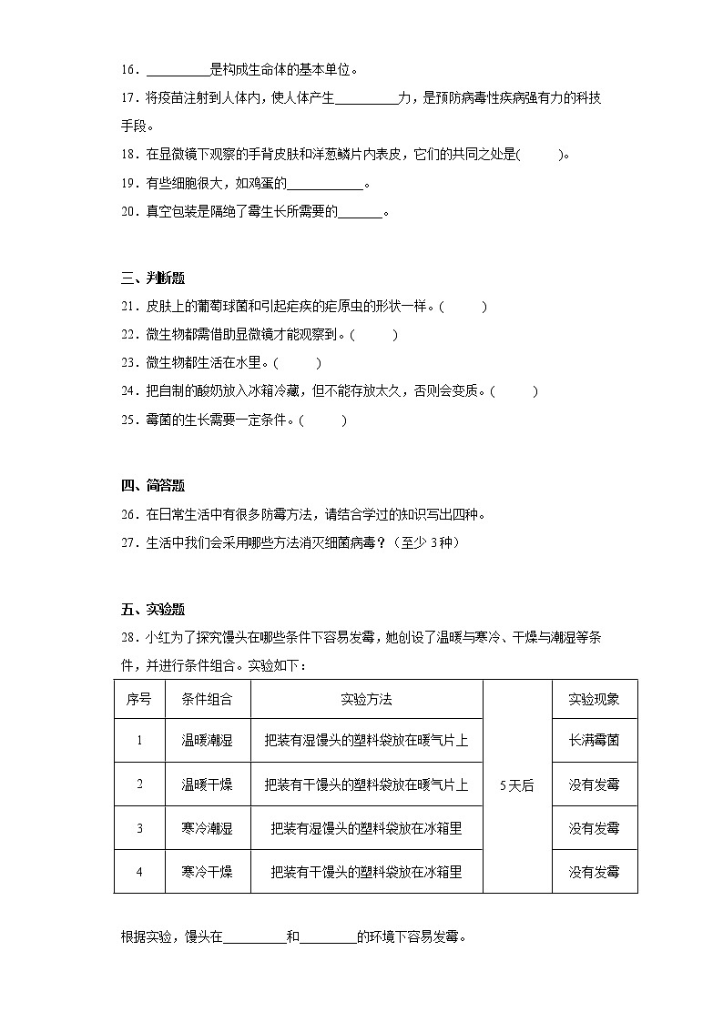 苏教版五年级科学下册第一单元综合测试卷显微镜下的生命世界（二）含答案第3页
