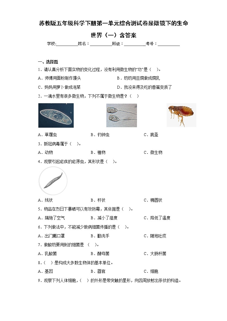 苏教版五年级科学下册第一单元综合测试卷显微镜下的生命世界（一）含答案01