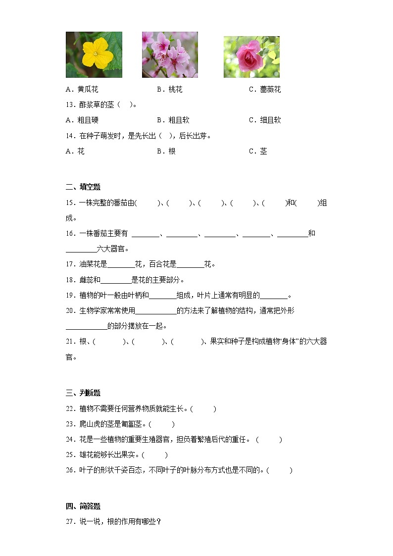 粤教版三年级科学下册第三单元综合测试卷（二）含答案02