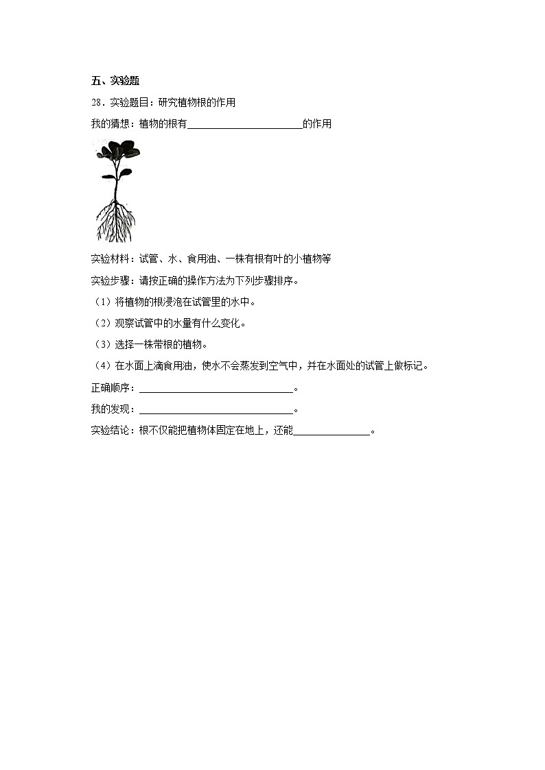粤教版三年级科学下册第三单元综合测试卷（一）含答案03
