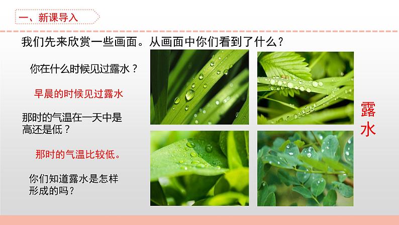 苏教版小学科学四下第一单元《4.水遇冷以后》课件PPT+教案+视频素材03