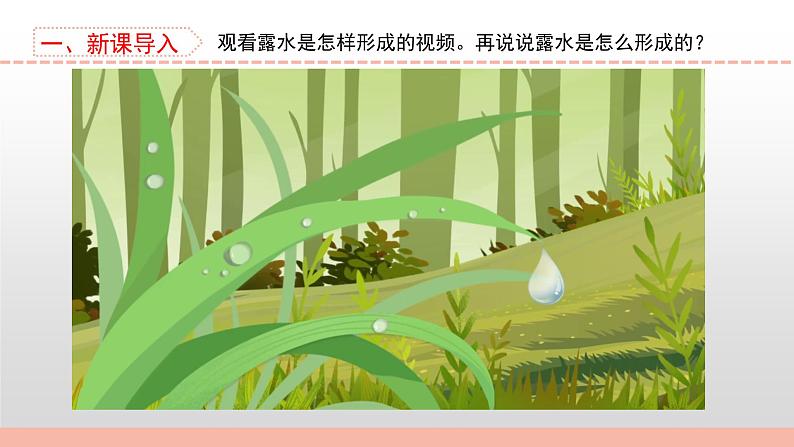 苏教版小学科学四下第一单元《4.水遇冷以后》课件PPT+教案+视频素材04