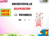 教科版科学四年级上册2.2呼吸与健康生活-知识点复习课件+实验+典型试题(动画已调)