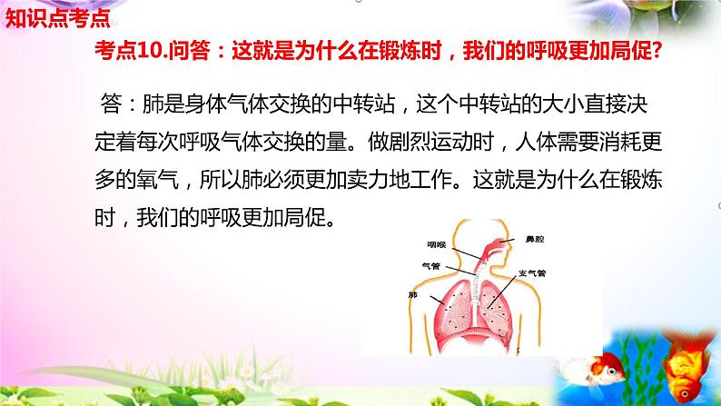 教科版科学四年级上册2.2呼吸与健康生活-知识点复习课件+实验+典型试题(动画已调)07