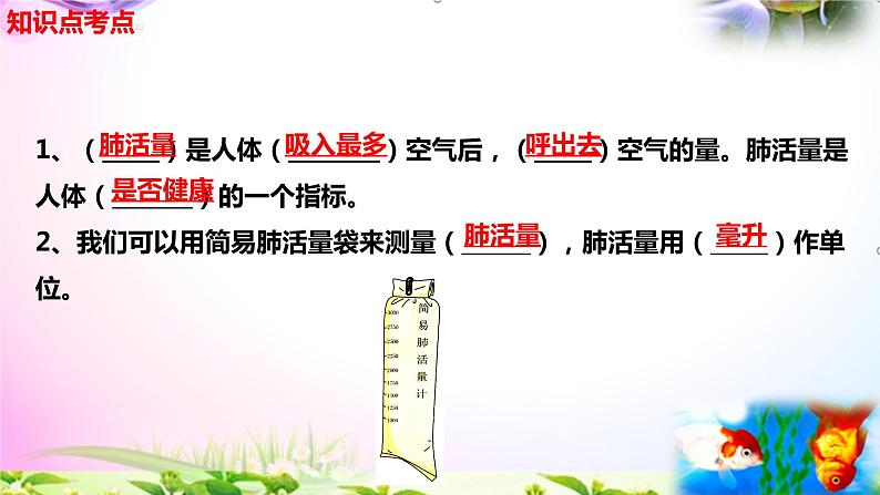 教科版科学四年级上册2.3测量肺活量-知识点复习课件+实验+典型试题(动画已调)03