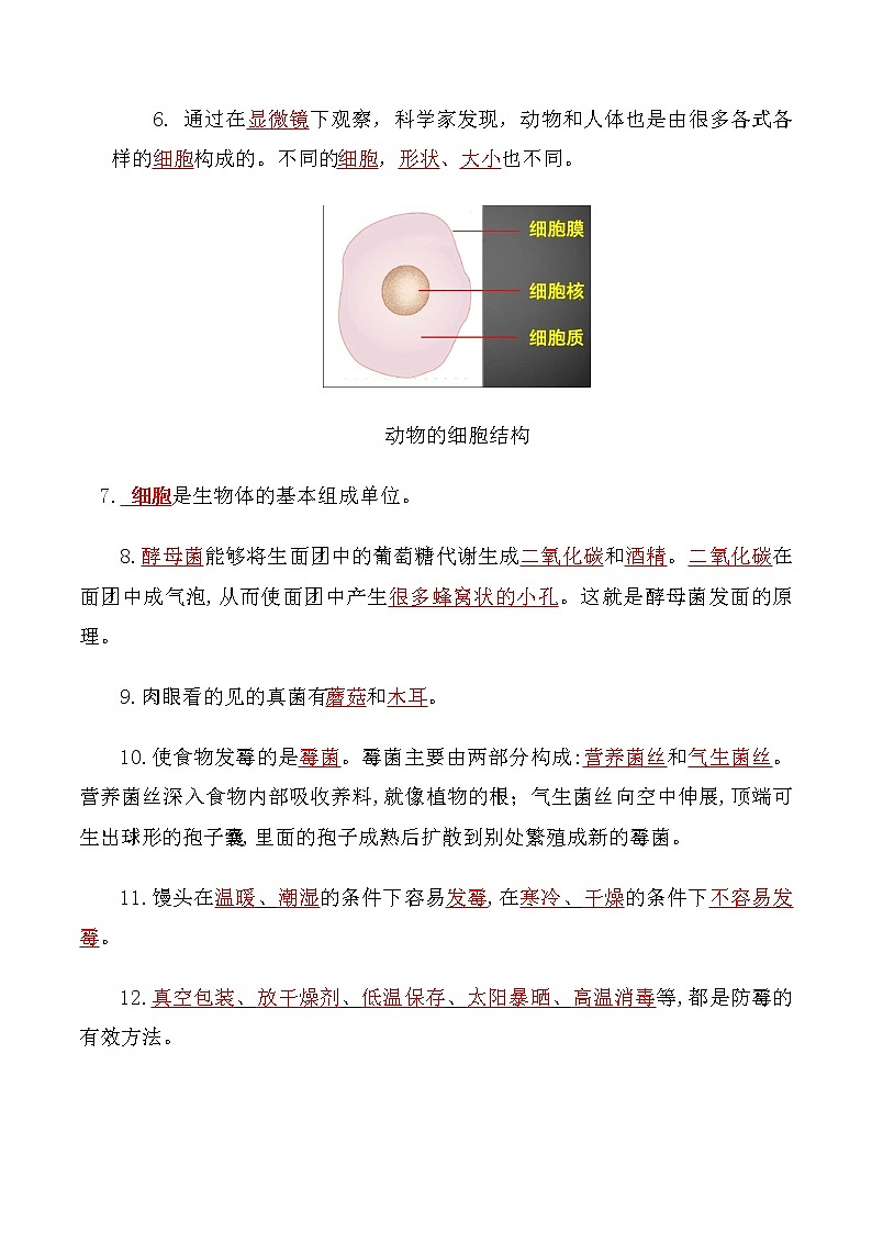 大象版科学（2017）六年级上册全册知识重点总结第2页