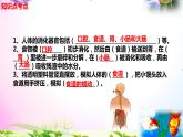 教科版科學(xué)四年級(jí)上冊(cè)2.8食物在身體里的旅行-知識(shí)點(diǎn)復(fù)習(xí)課件+實(shí)驗(yàn)+典型試題(動(dòng)畫(huà)已調(diào))