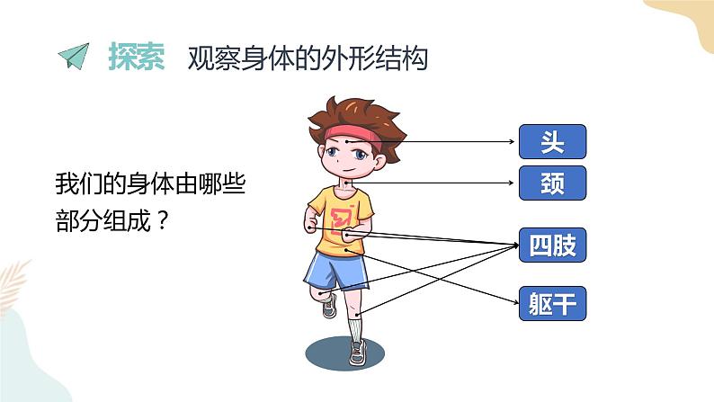二年级下册科学课件-2.1观察我们的身体 教科版第3页