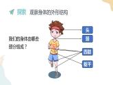 二年级下册科学课件-2.1观察我们的身体 教科版