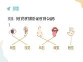 二年级下册科学课件-2.2通过感官来发现 教科版