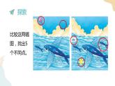 二年級下冊科學課件-2.3觀察與比較 教科版