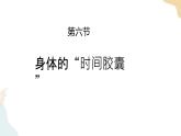 二年級下冊科學(xué)課件-2.6身體的“時間膠囊” 教科版