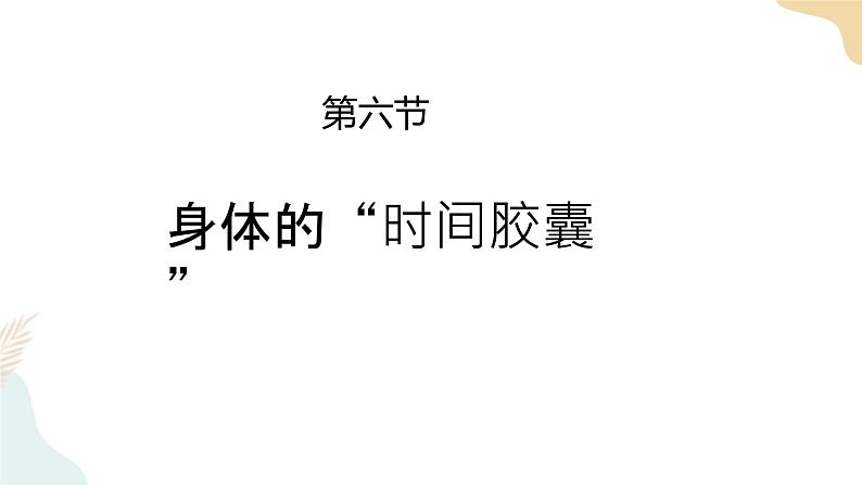 二年级下册科学课件-2.6身体的“时间胶囊” 教科版第1页