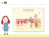 教科版科学四年级下册3.《种子长出了根》课件ppt（送教案+练习）