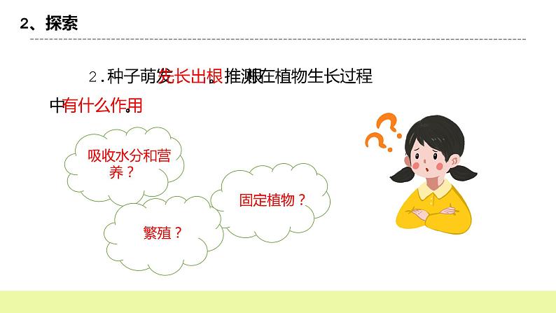 教科版科学四年级下册3.《种子长出了根》课件ppt（送教案+练习）06