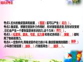 教科版科学四年级上册3.3用橡皮筋驱动小车-知识点复习课件+实验+典型试题(动画已调)
