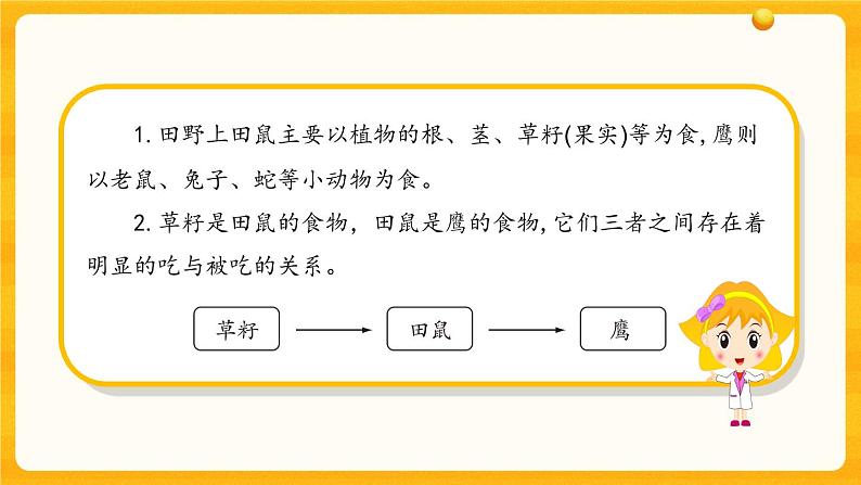2.6《有趣的食物链》教学课件第3页