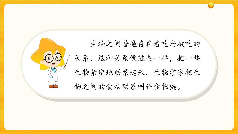 2.6《有趣的食物链》教学课件第4页