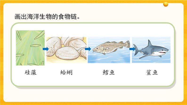 2.6《有趣的食物链》教学课件第5页