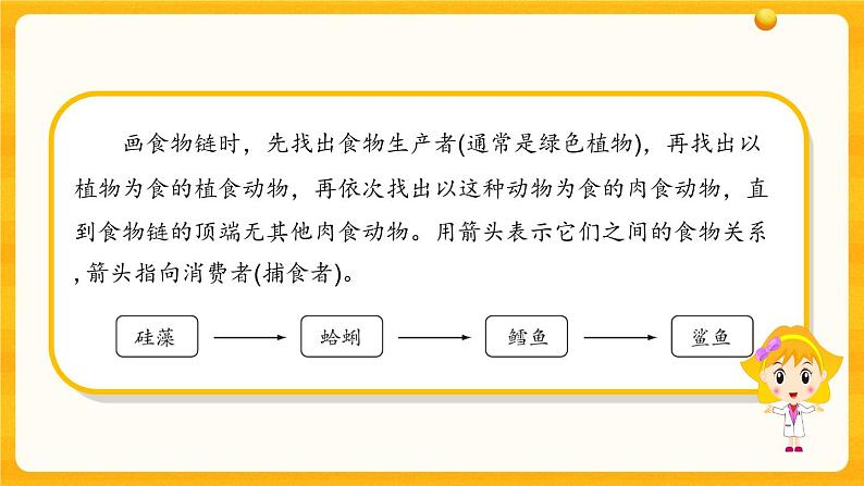 2.6《有趣的食物链》教学课件第6页