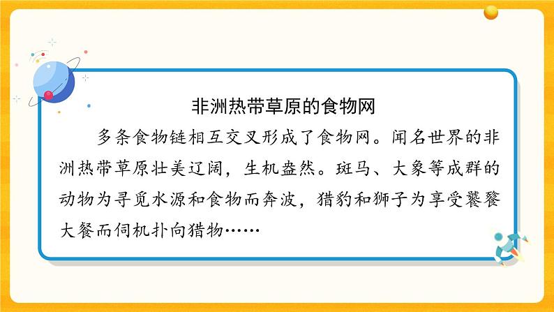 2.6《有趣的食物链》教学课件第7页
