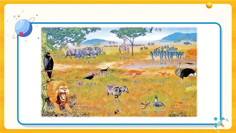 2.6《有趣的食物链》教学课件第8页