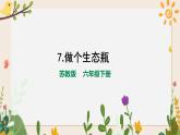 2.7做個(gè)生態(tài)瓶 課件