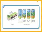 3.10煤、石油和天然气 课件