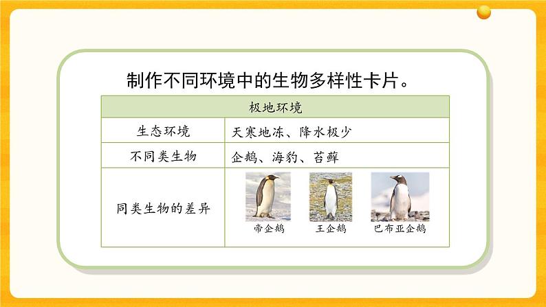 4.15多样的生物 课件06