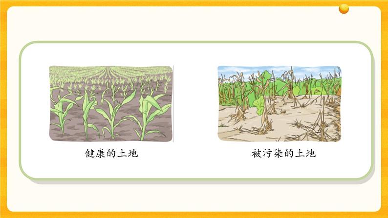 4.16健康的土地 课件03