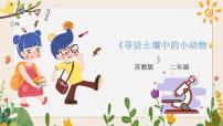 小学科学苏教版 (2017)二年级下册第三单元 土壤与生命9 寻访土壤中的小动物完美版ppt课件