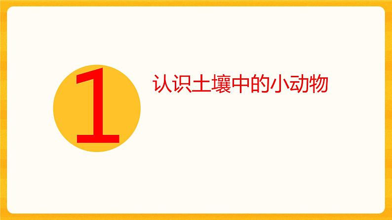 3.3寻访土壤中的小动物 同步微课+课件02