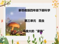 科学四年级下册9 庞大的“家族”一等奖课件ppt