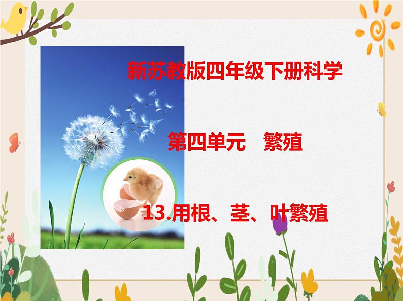 13用根、茎、叶繁殖 课件01