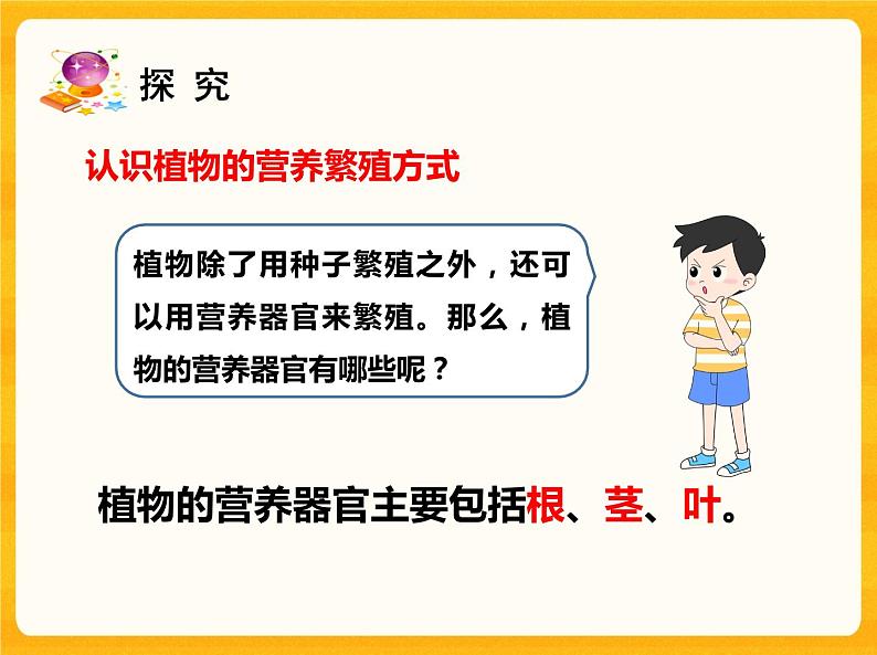 13用根、茎、叶繁殖 课件03