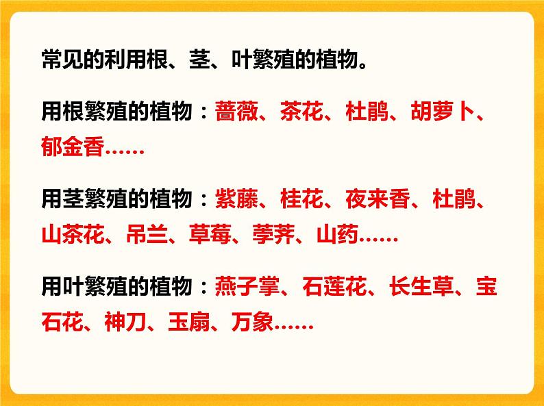 13用根、茎、叶繁殖 课件08