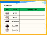 3.7栽小葱 课件