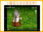 3.9 寻访土壤中的小动物 课件