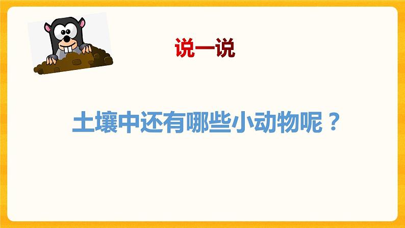 寻访土壤中的小动物 课件第4页