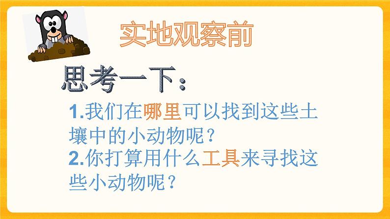 寻访土壤中的小动物 课件第8页